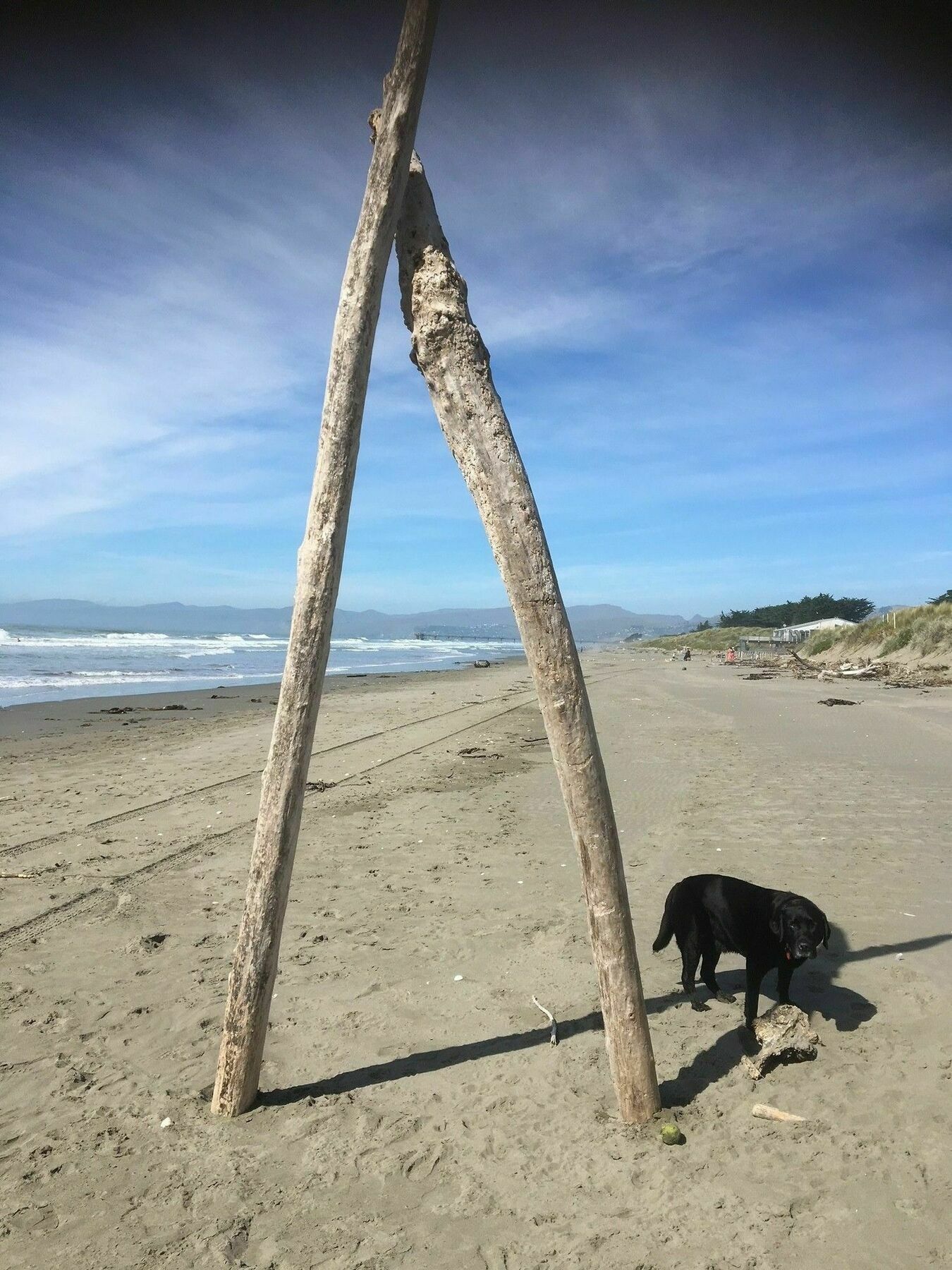 Sandy Feet Accommodation Christchurch Luaran gambar